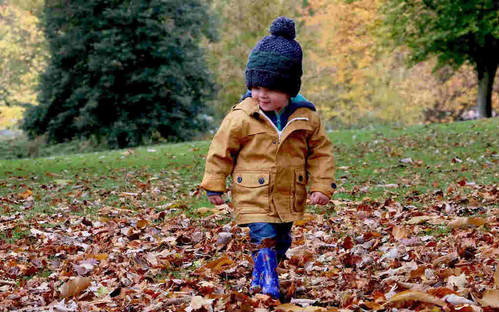 autumn activities for preschoolers - Mykidstime