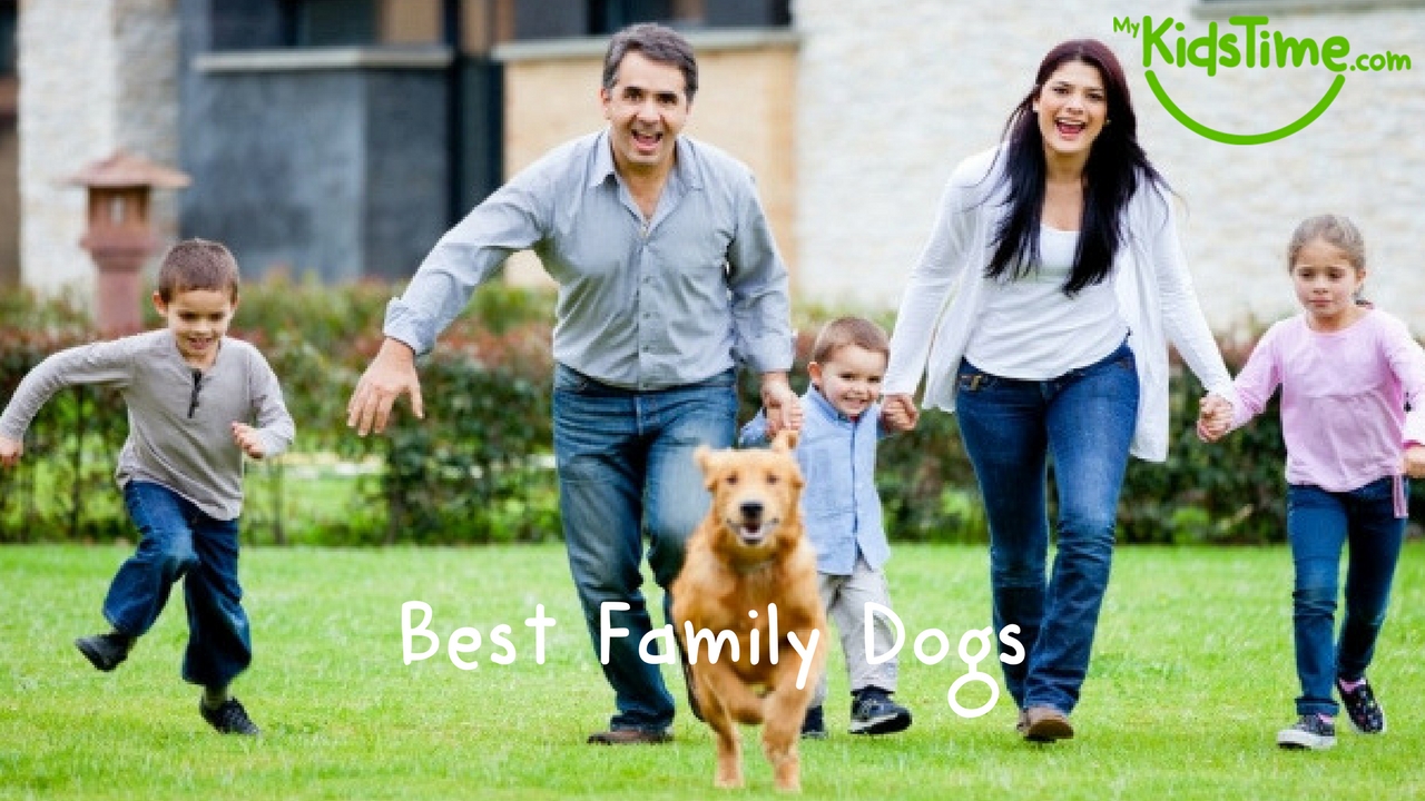 best family dogs