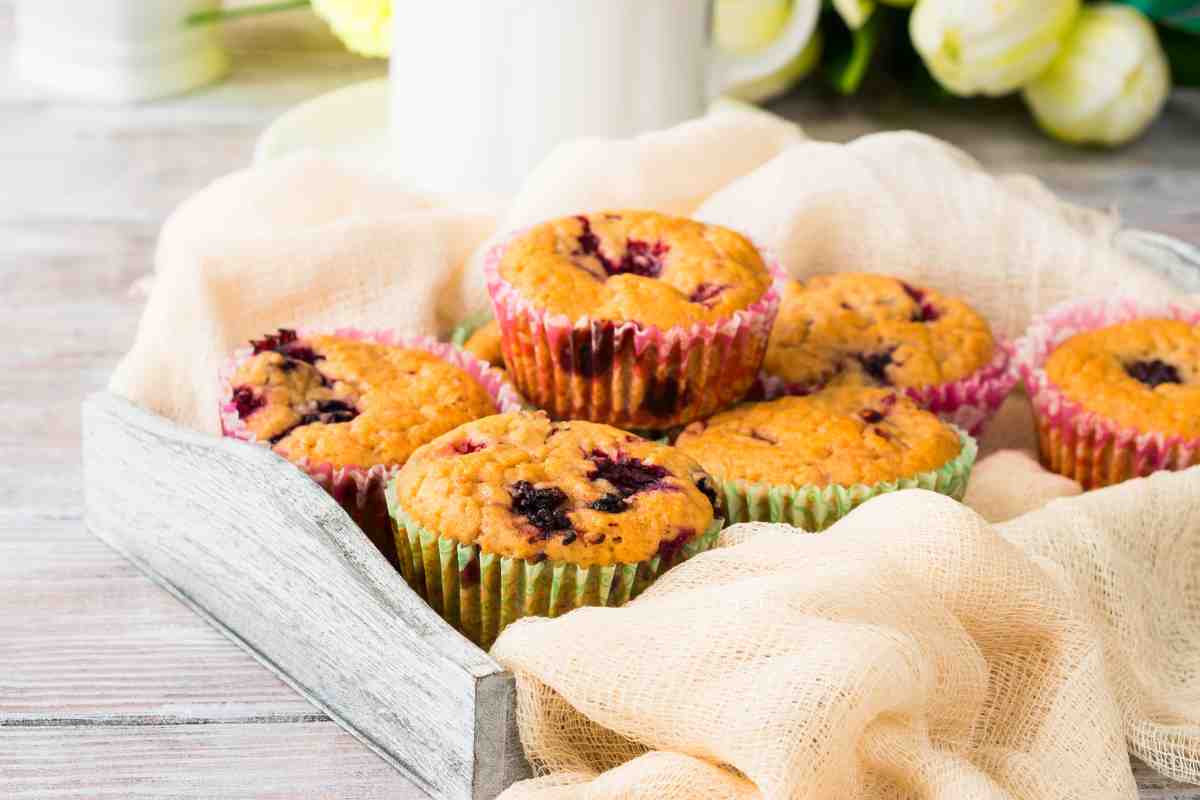Breakfast berry muffins