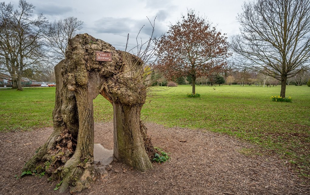 Fairy Door at Corkagh Park