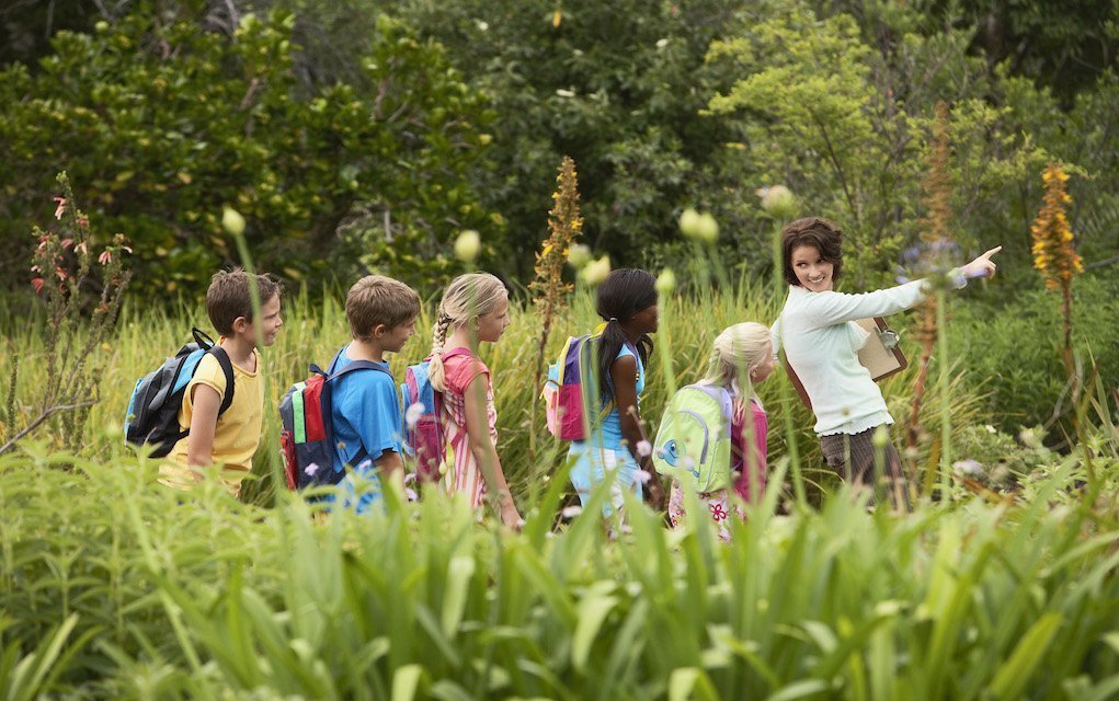 fun places for nature education for kids in Ireland