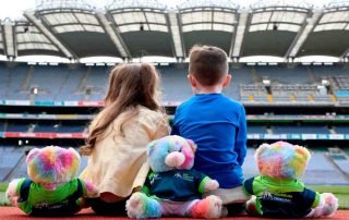 Croke Park Teidí Tour