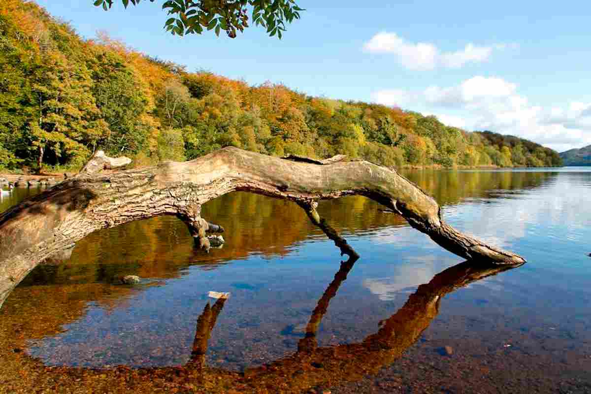 Hazelwood National Forest, Co Sligo – ICP (1)