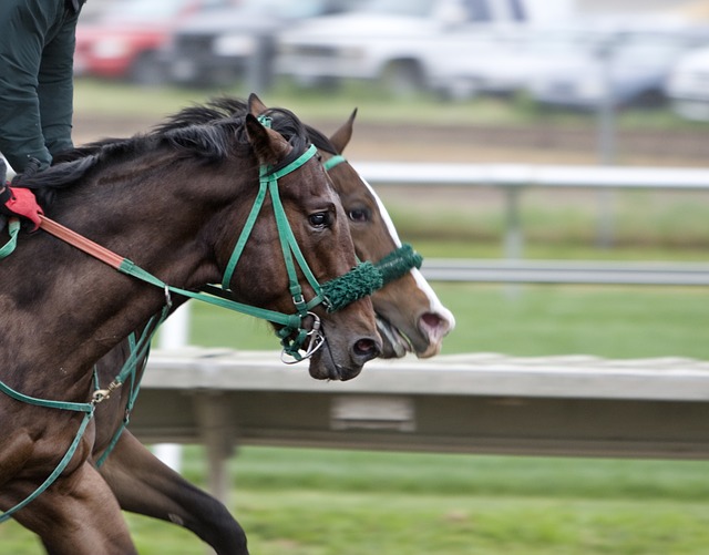 Fundraising Ideas Race Night