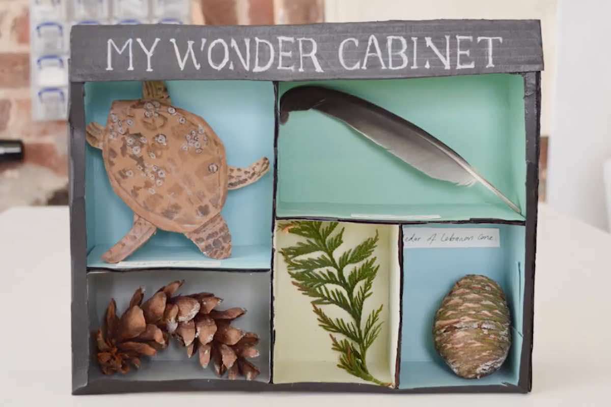 Craft Projects with How to Videos Wonder Cabinet National Museum of Ireland