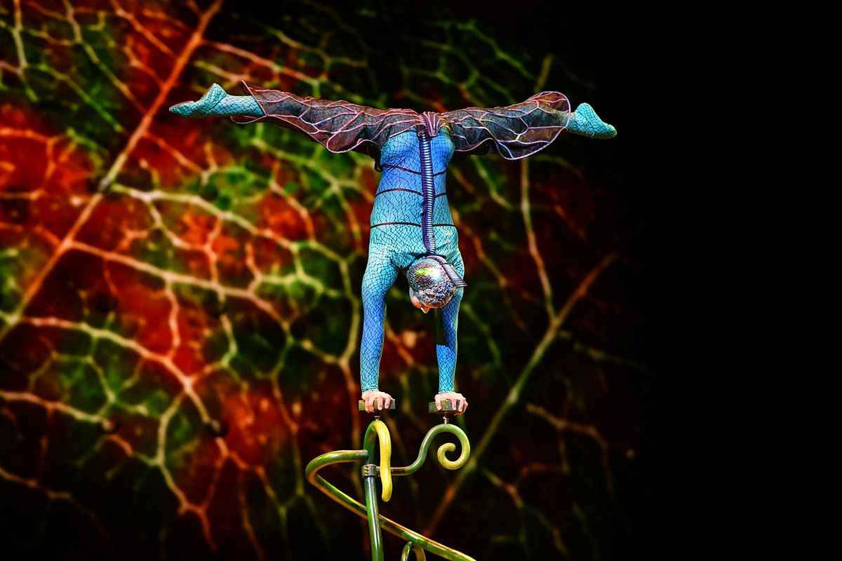 Win a family ticket to Cirque Du Soleil OVO