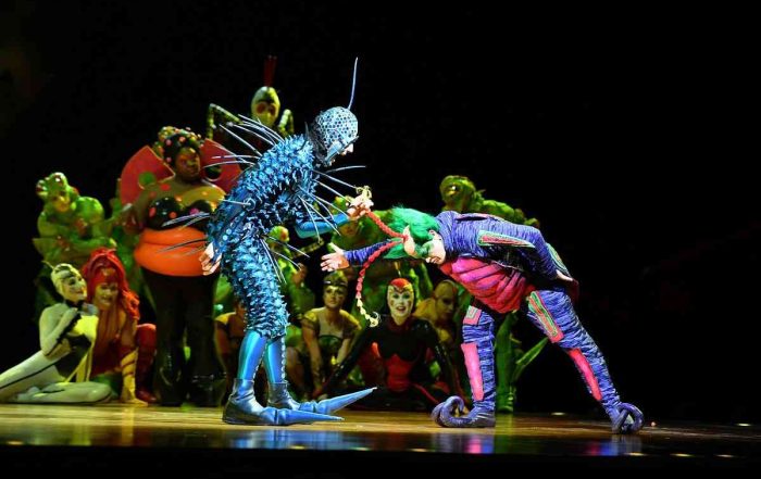 Win a family ticket to Cirque Du Soleil OVO