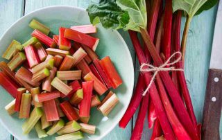 Rhubarb recipes (1)