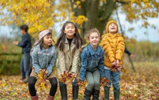 where to see amazing autumn leaves in Ireland